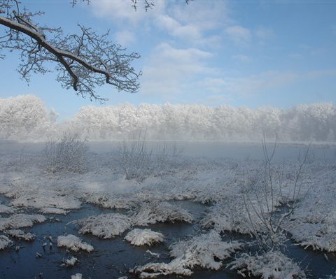 Logeren in het Hiekerhoes in de winter en genieten van de mooie omgeving.