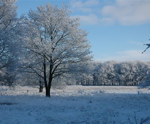 Genieten van Drenthe in de winter tijdens een weekendje in het Hiekerhoes .