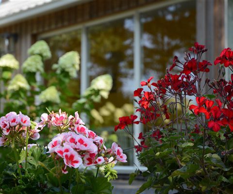 Familieweekend of vriendenweekend in Drenthe in groepsaccommodatie met ruime tuin.