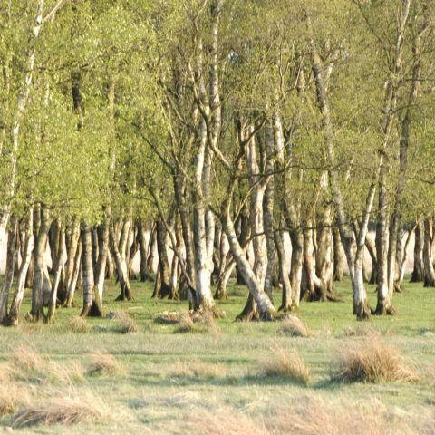 Vergaderruimte Hiekerhoes bij het Hijkerveld in hartje Drenthe.