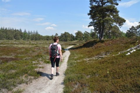 wandelarrangementen Drenthepad 1 - Groepsaccommodatie en vergaderlocatie HiekerHoes Drenthe wandelarrangementen Drenthepad 1 - Groepsaccommodatie en vergaderlocatie HiekerHoes Drenthe